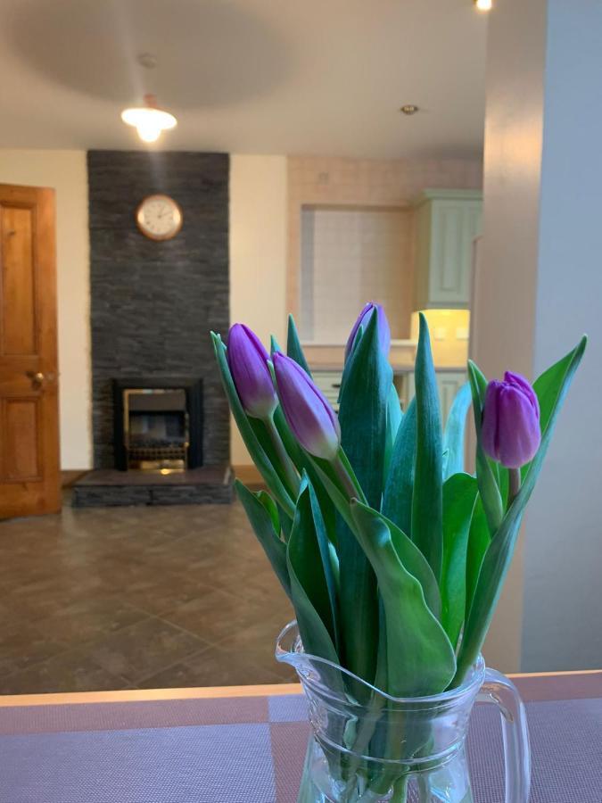 Ringfort Manor Rathfriland Esterno foto
